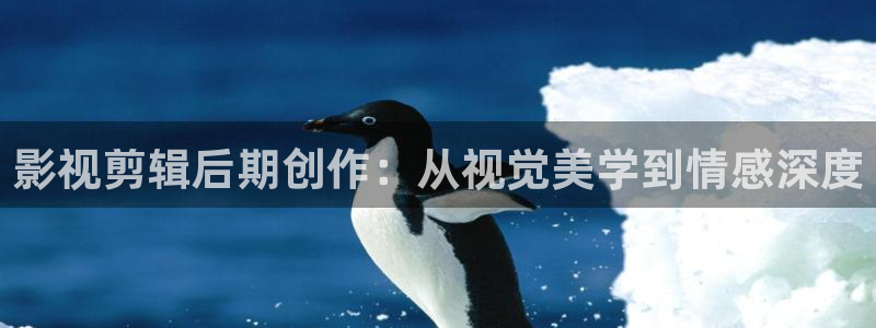 韓國理論電影朋友